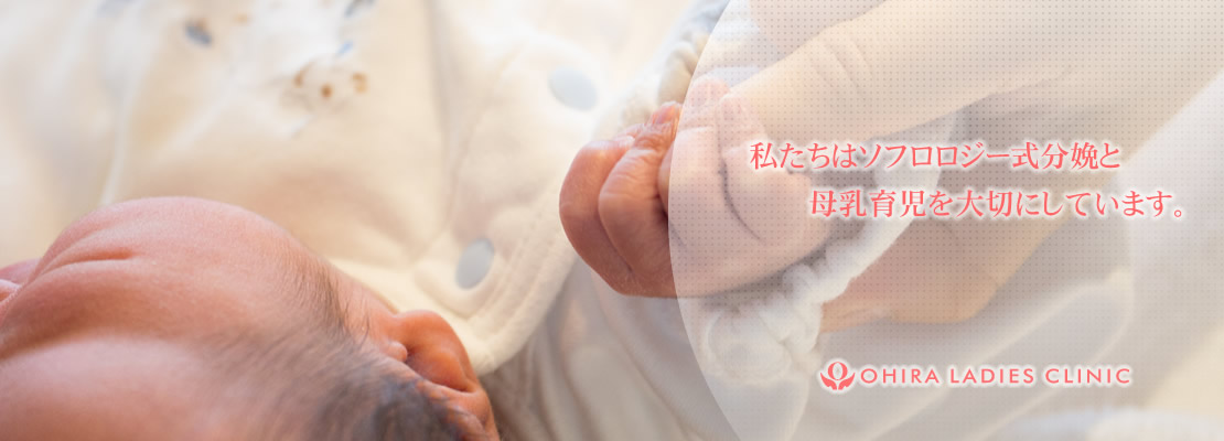 公式案内画像