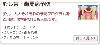 公式案内画像