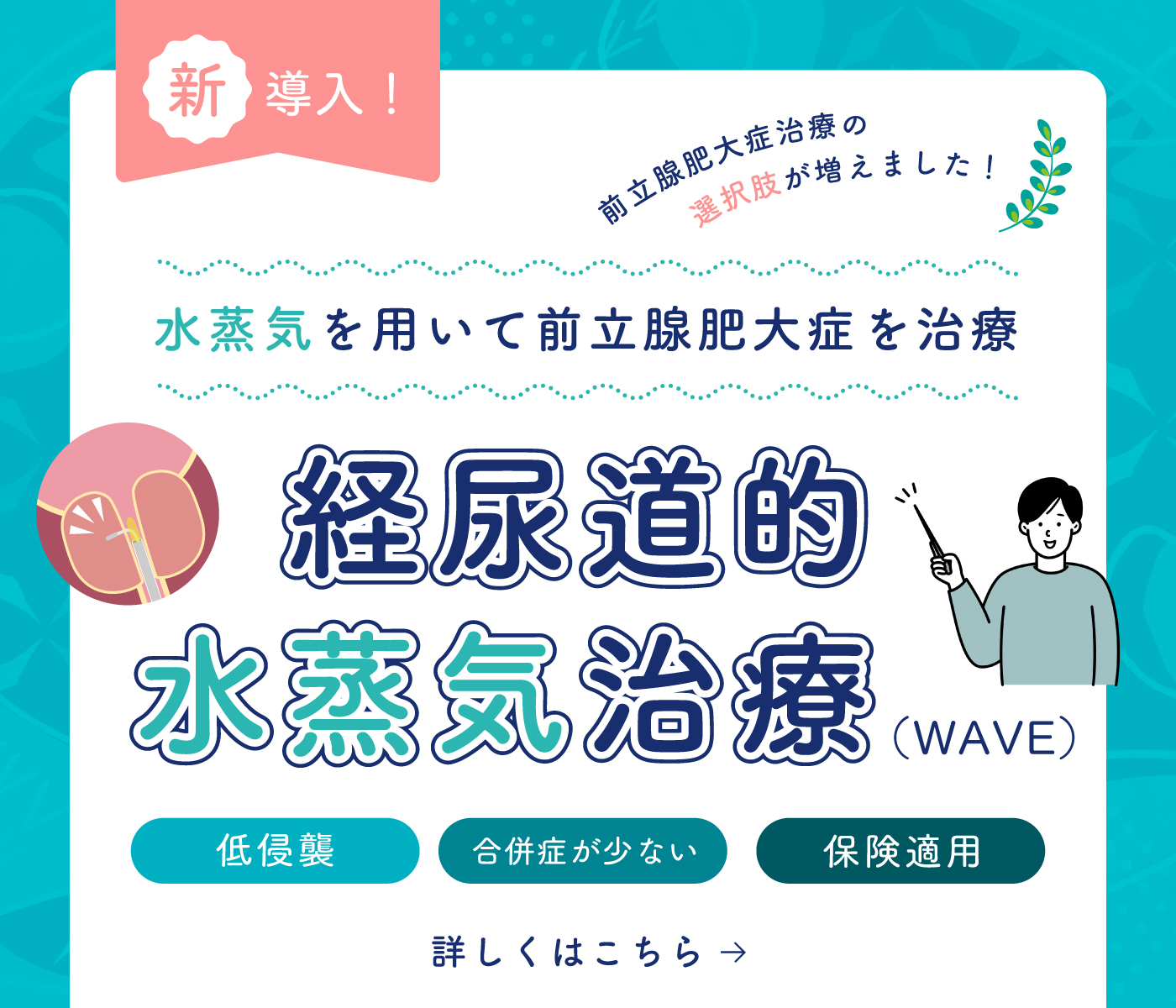 公式案内画像