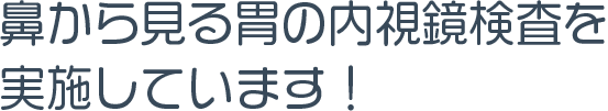 公式案内画像