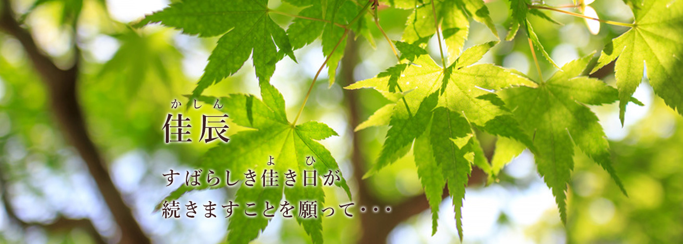 公式案内画像