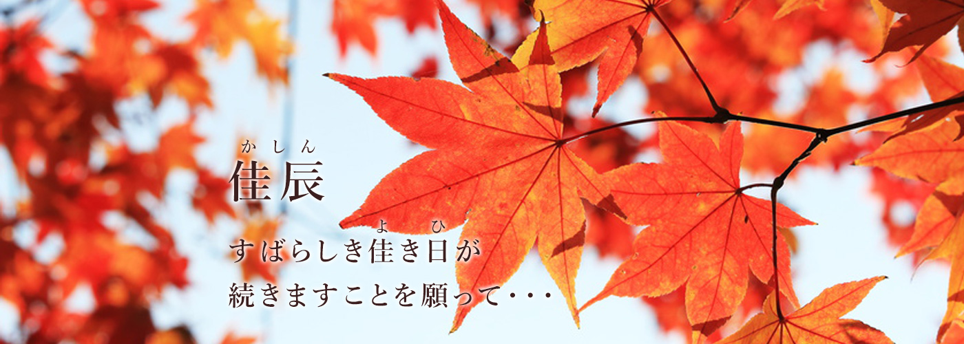 公式案内画像