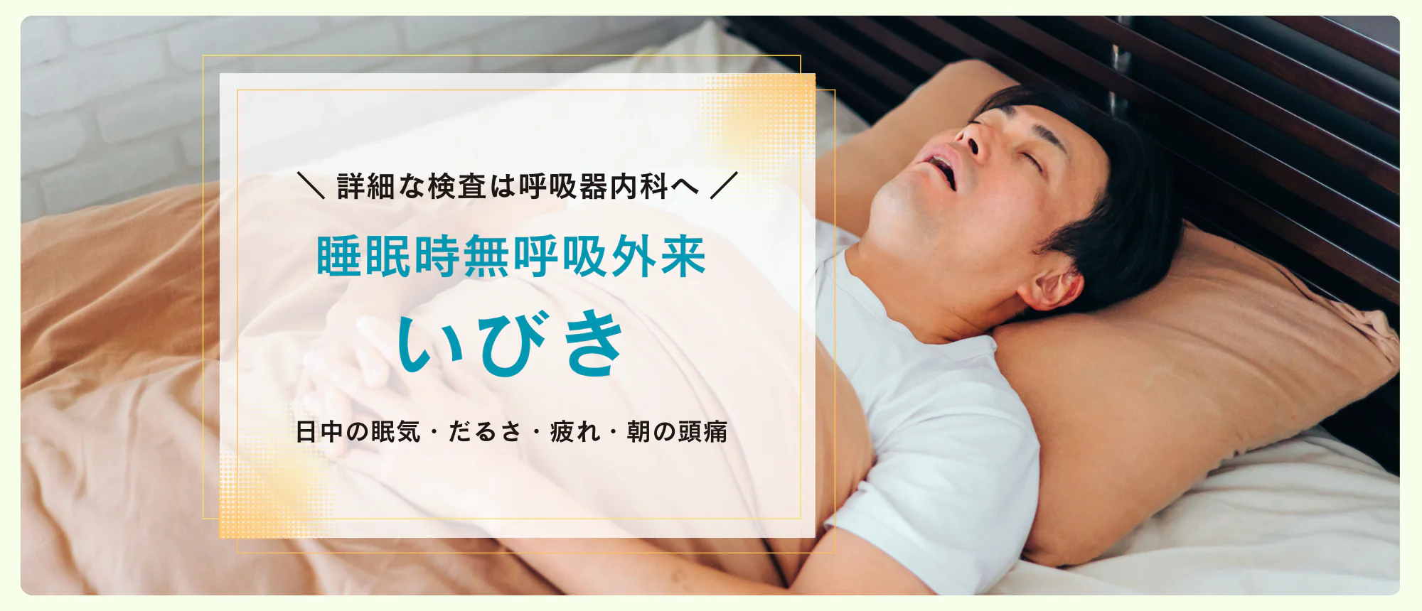 公式案内画像