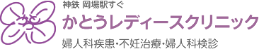かとうレディースクリニック