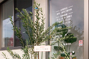 公式案内画像