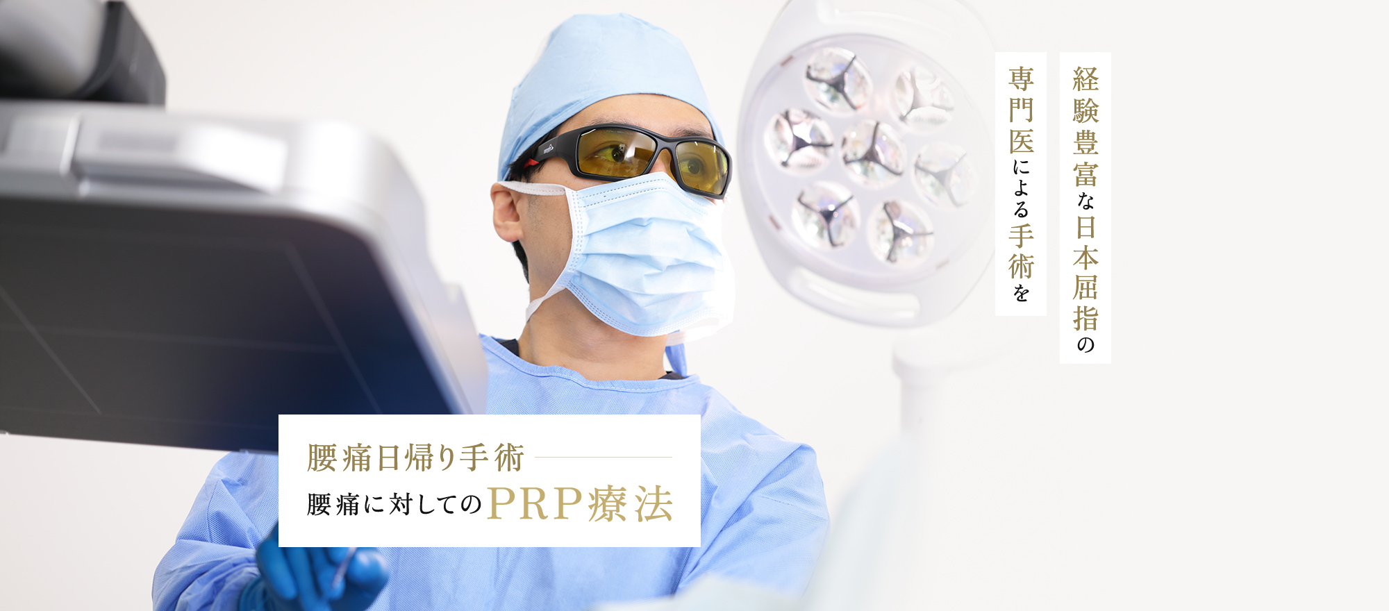 公式案内画像