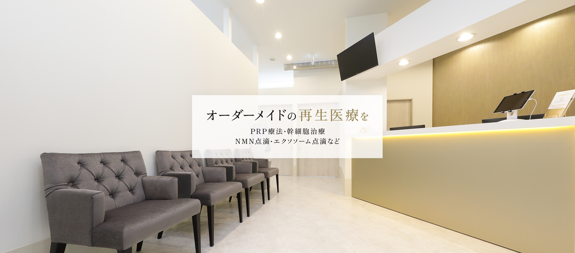 公式案内画像