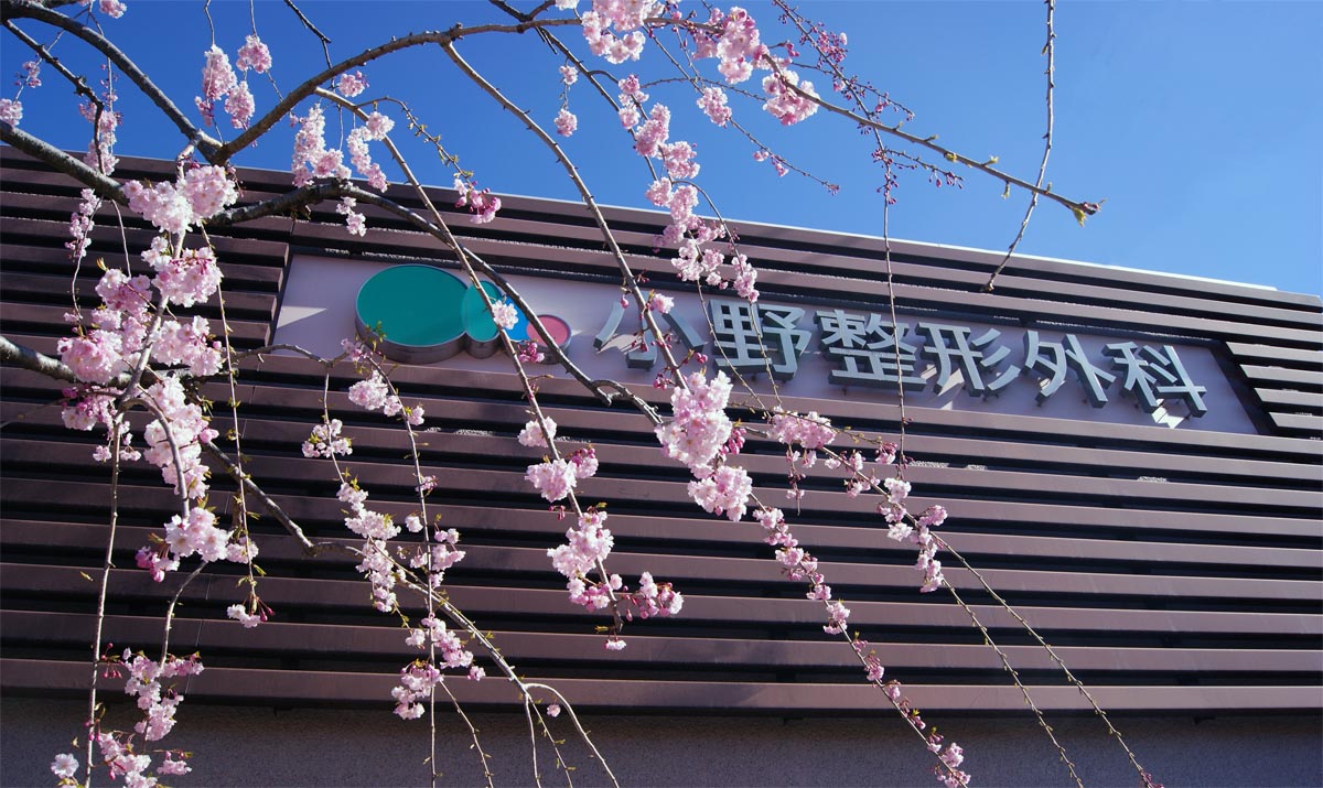 公式案内画像