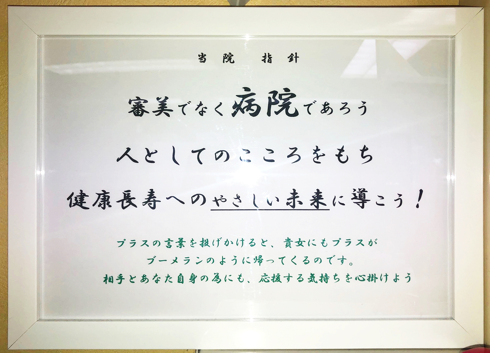 公式案内画像