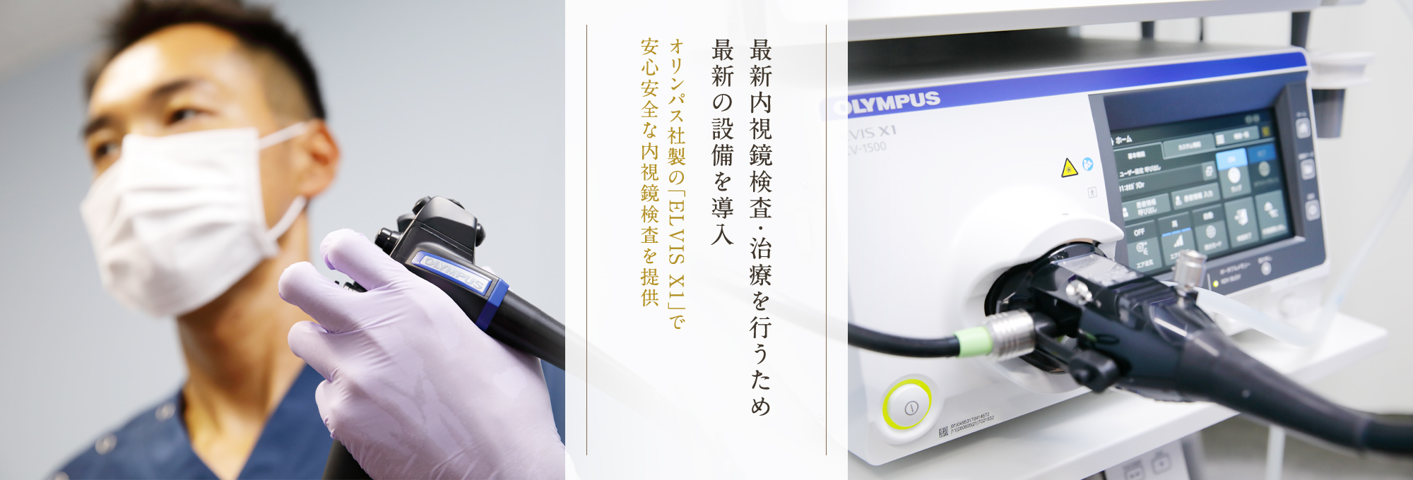 公式案内画像