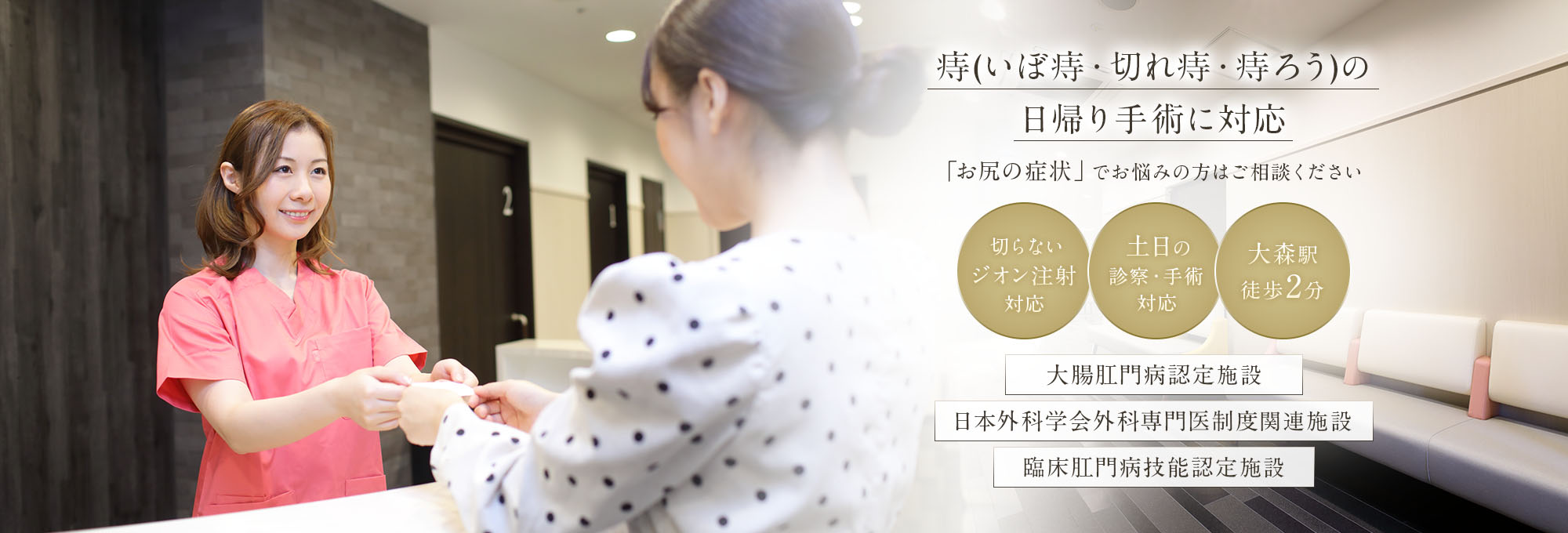 公式案内画像