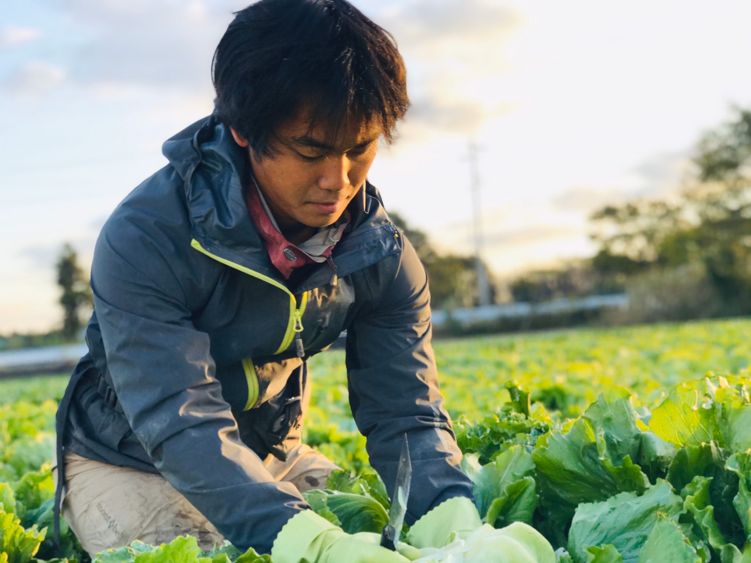 公式案内画像