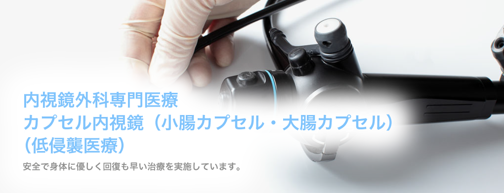 公式案内画像