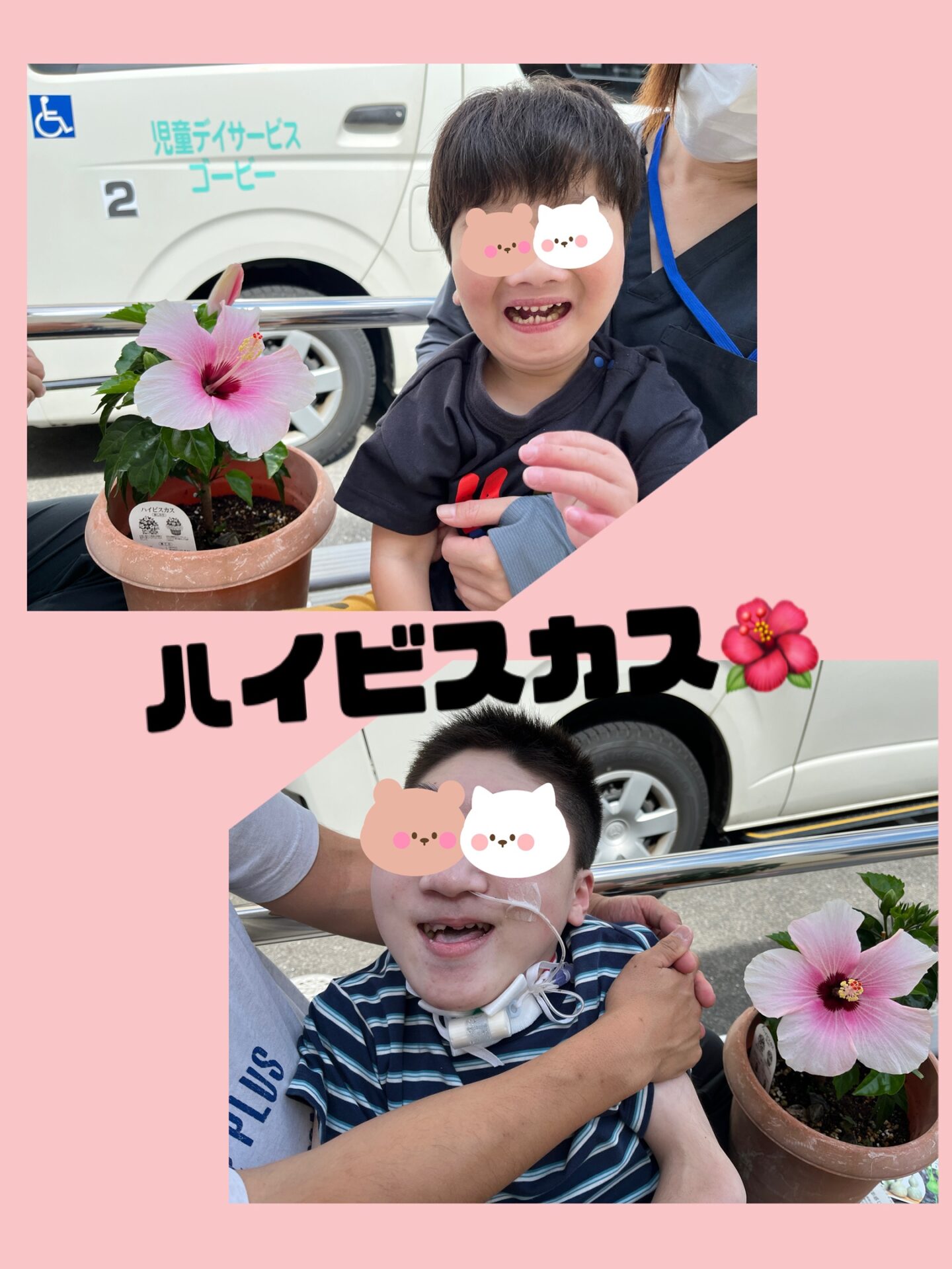公式案内画像