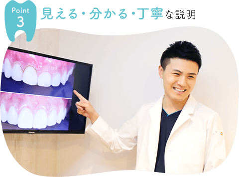 公式案内画像