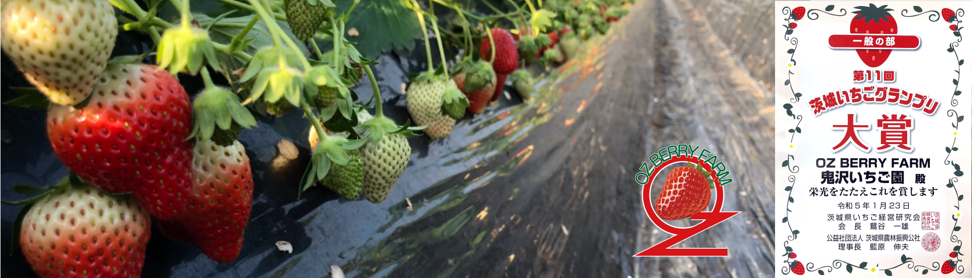 OZ BERRY FARM（鬼沢 健一） の写真