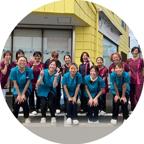 公式案内画像