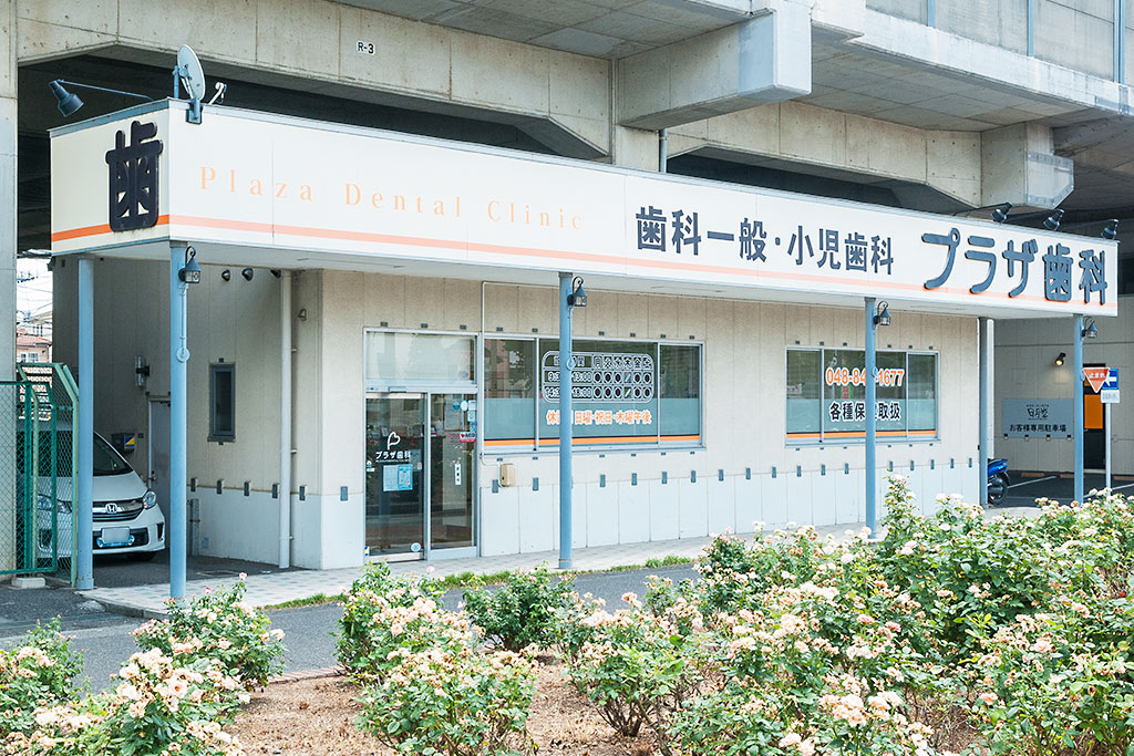 公式案内画像