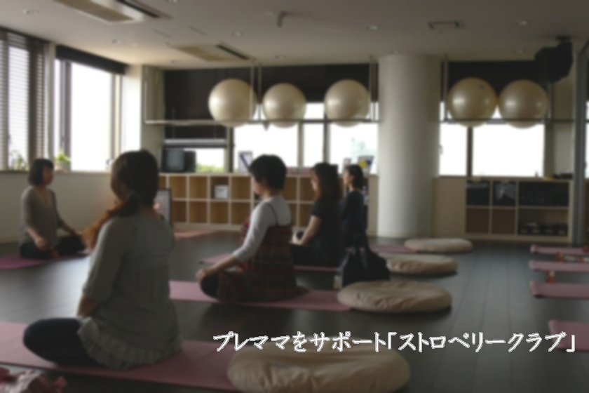 公式案内画像
