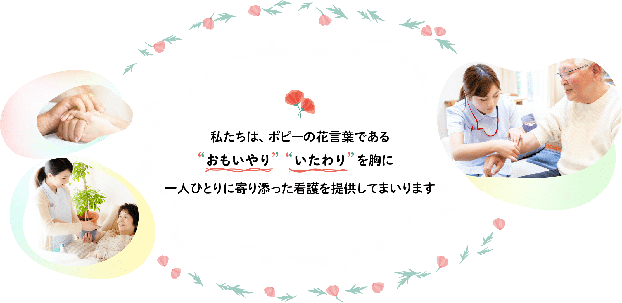 公式案内画像