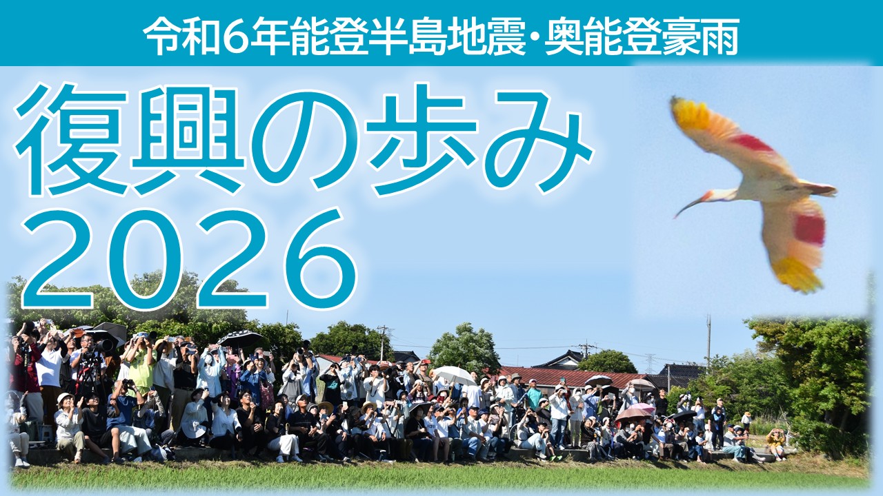 公式案内画像