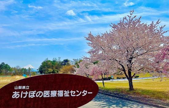 公式案内画像