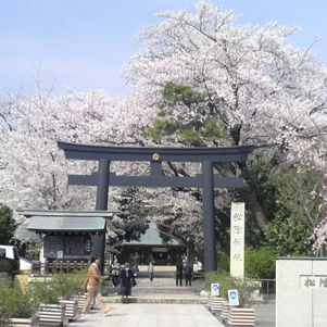 公式案内画像