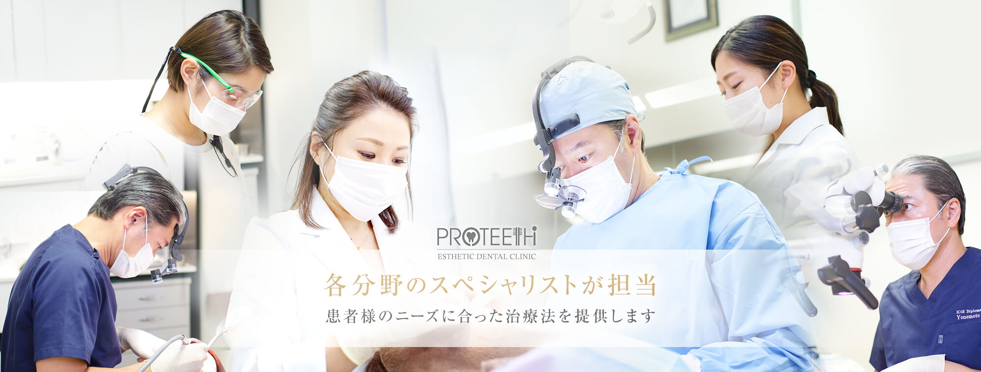 公式案内画像