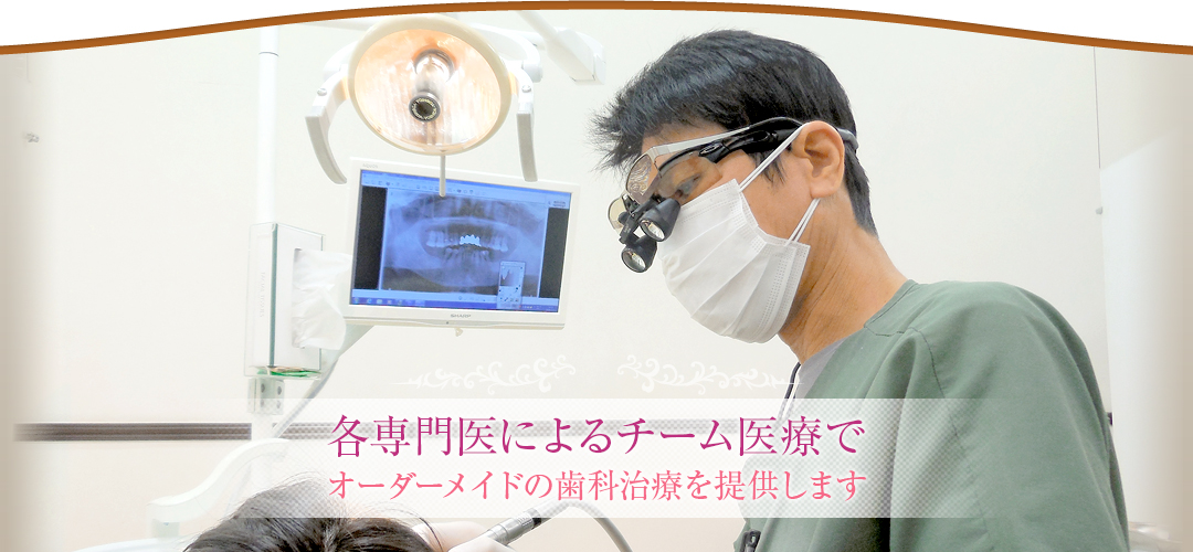 公式案内画像