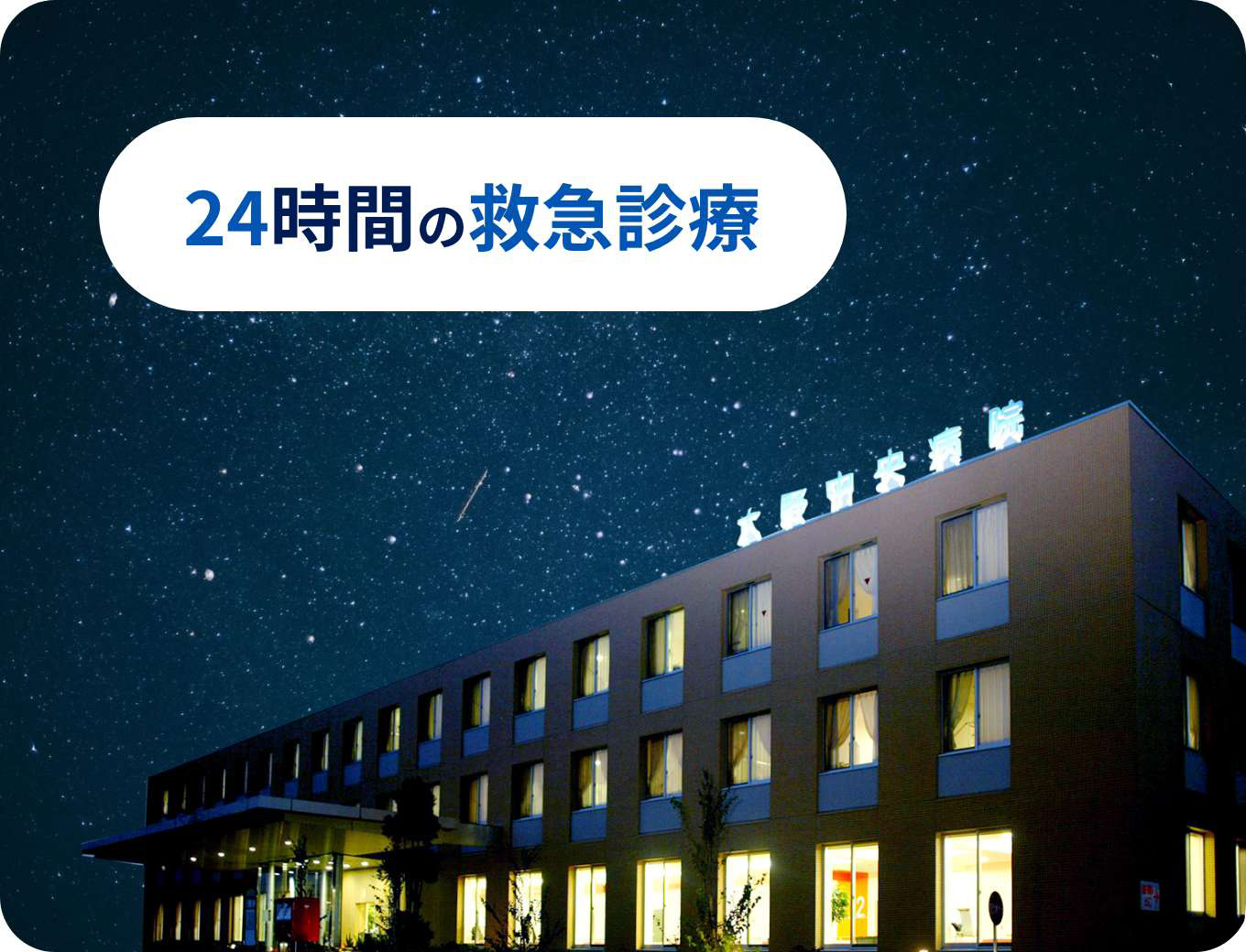 公式案内画像