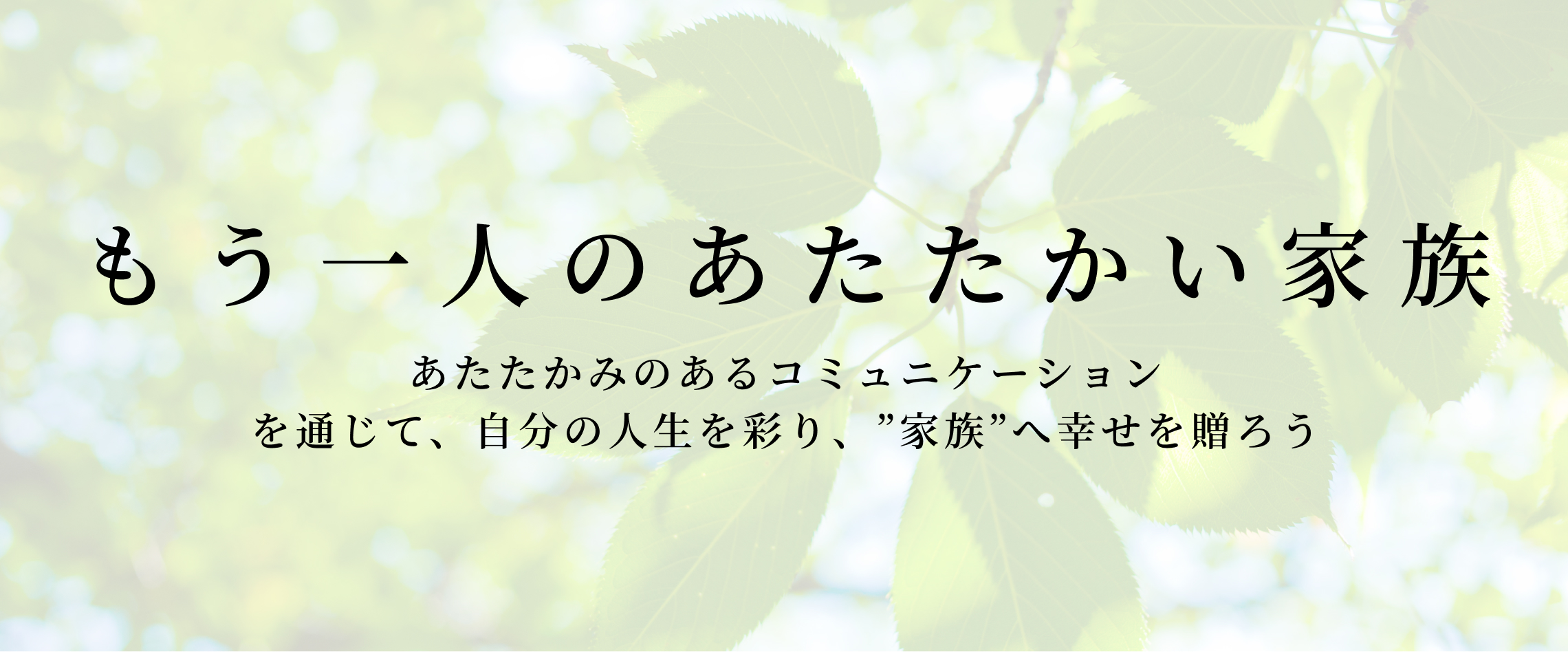 公式案内画像