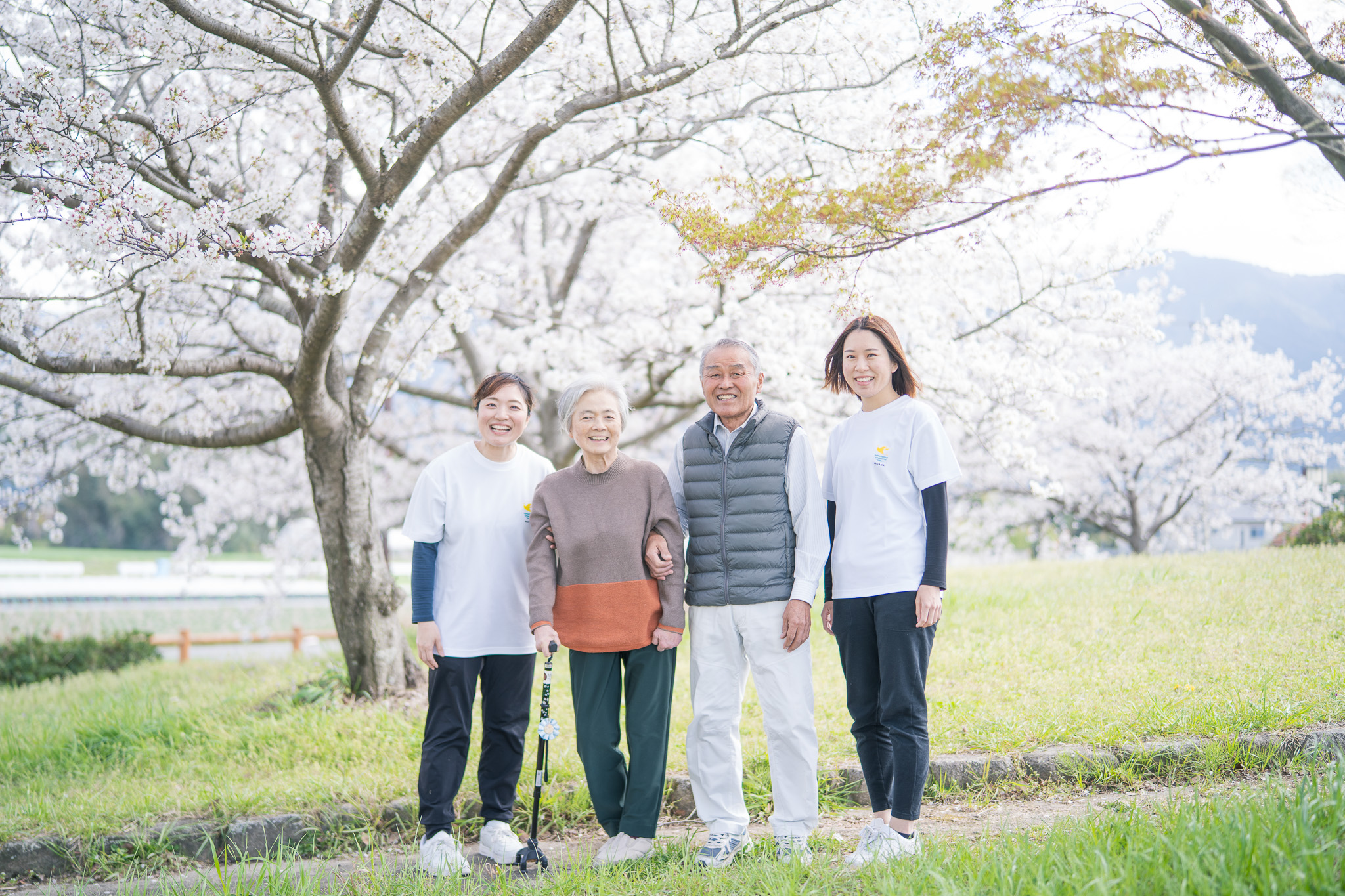 公式案内画像