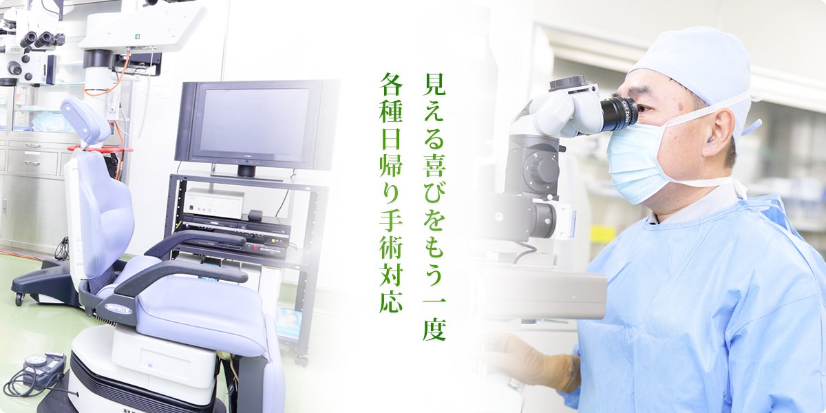 公式案内画像