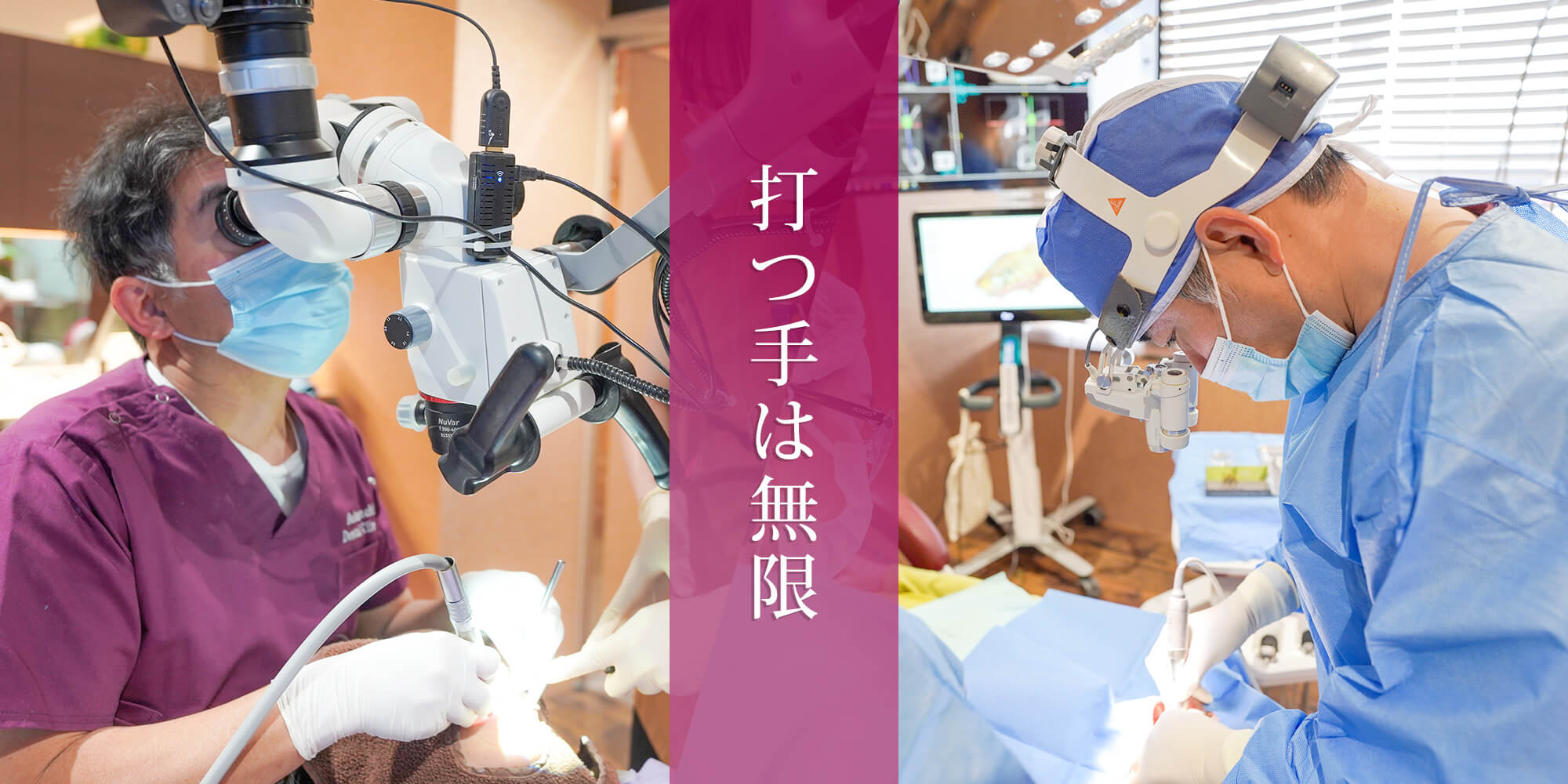 公式案内画像