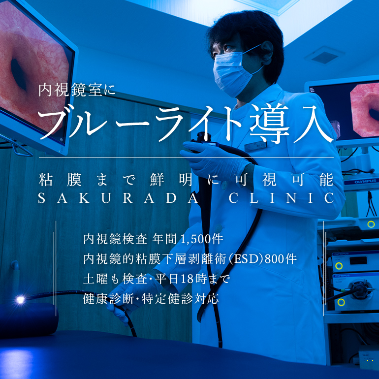 公式案内画像