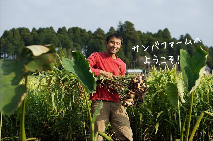 サンバファーム の写真