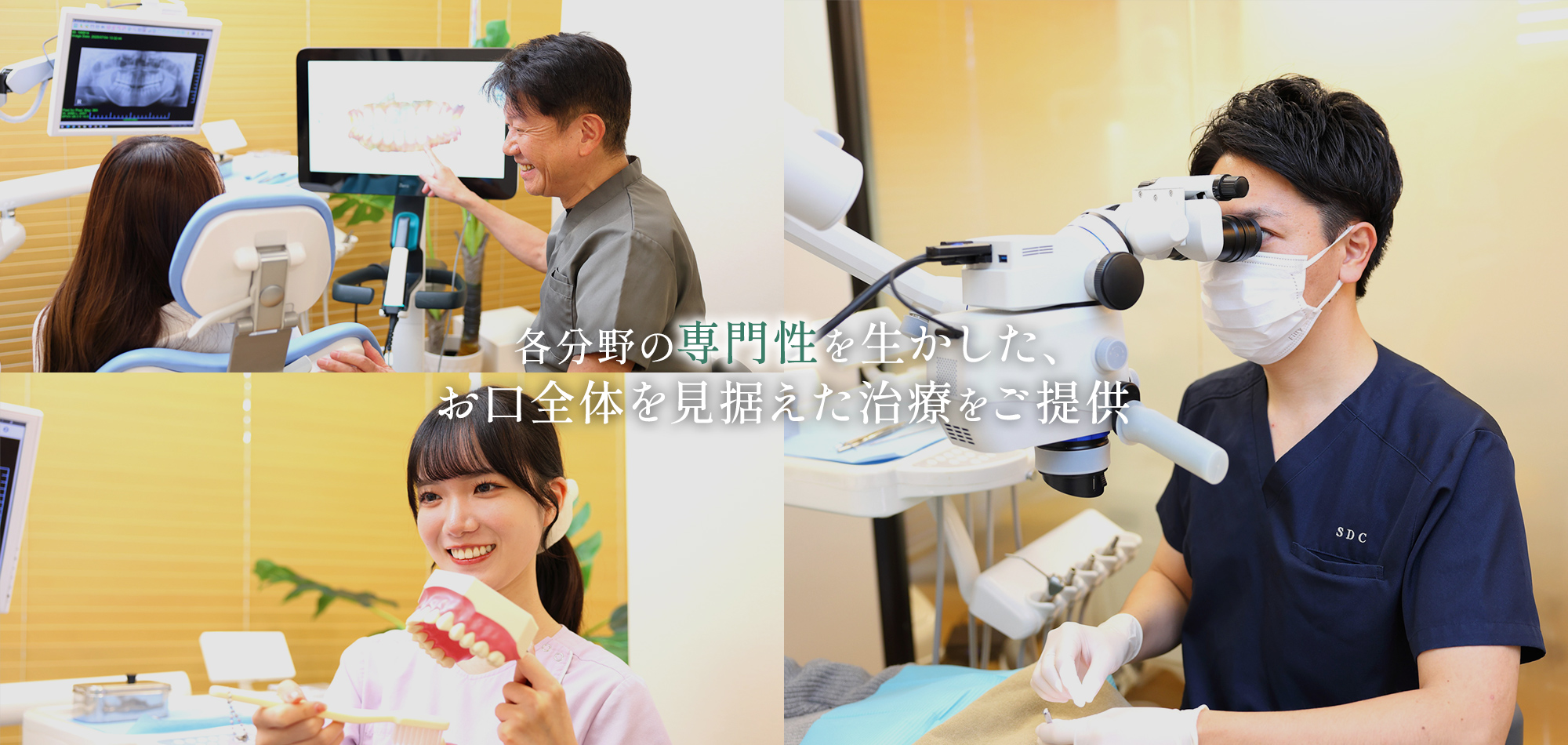 公式案内画像