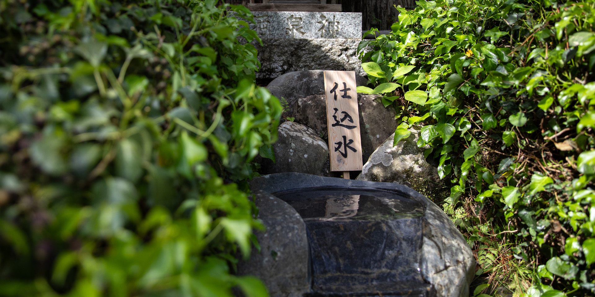 公式案内画像