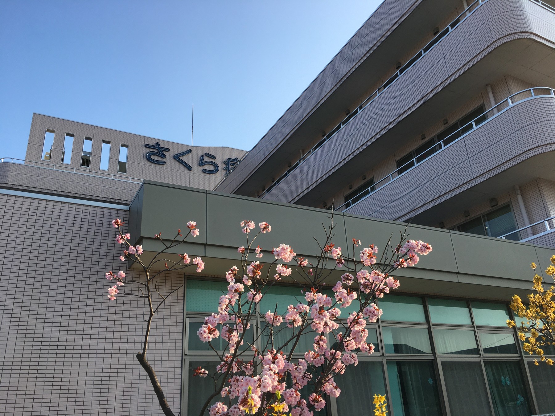 公式案内画像