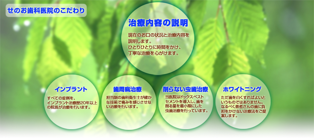 公式案内画像