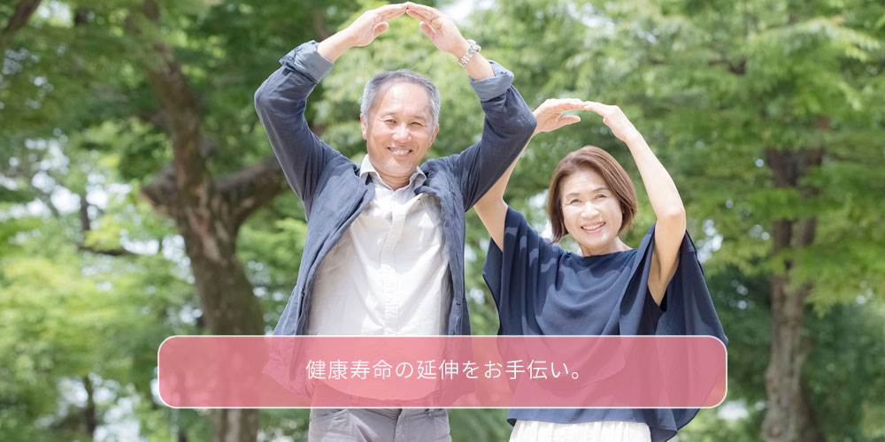 公式案内画像