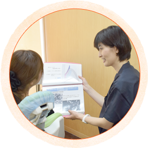 公式案内画像