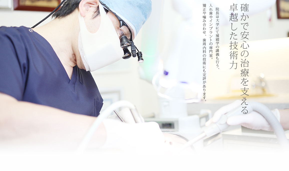 公式案内画像