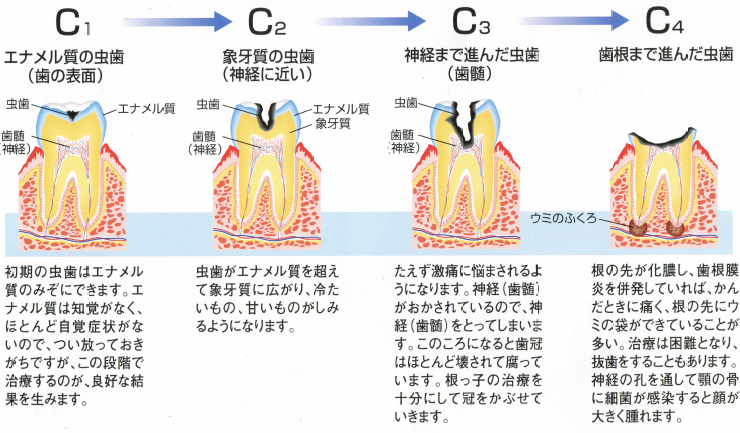 公式案内画像