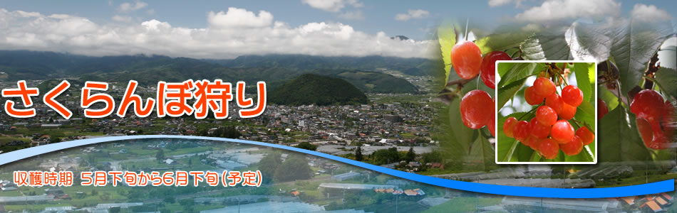 公式案内画像