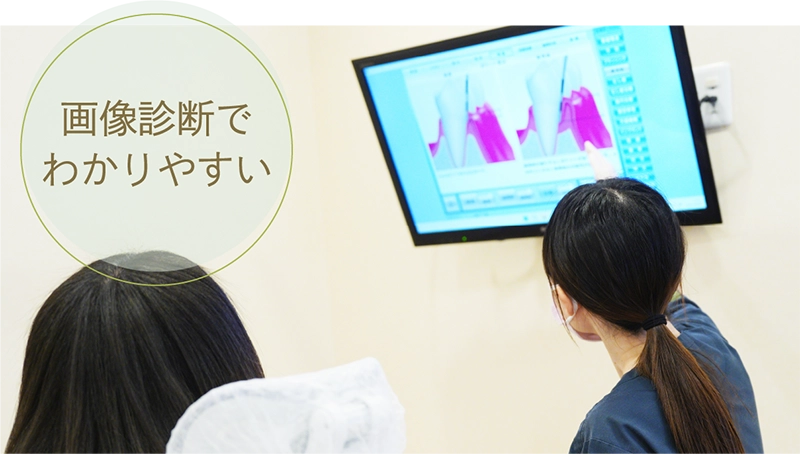 公式案内画像