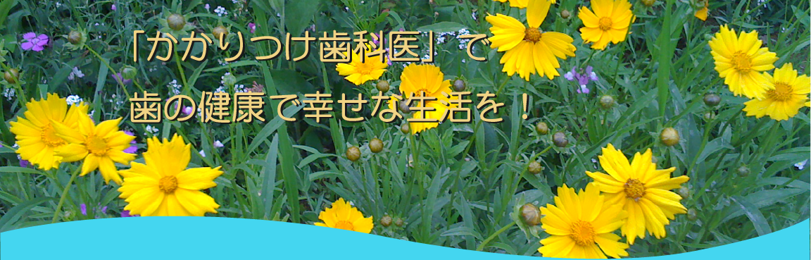 公式案内画像