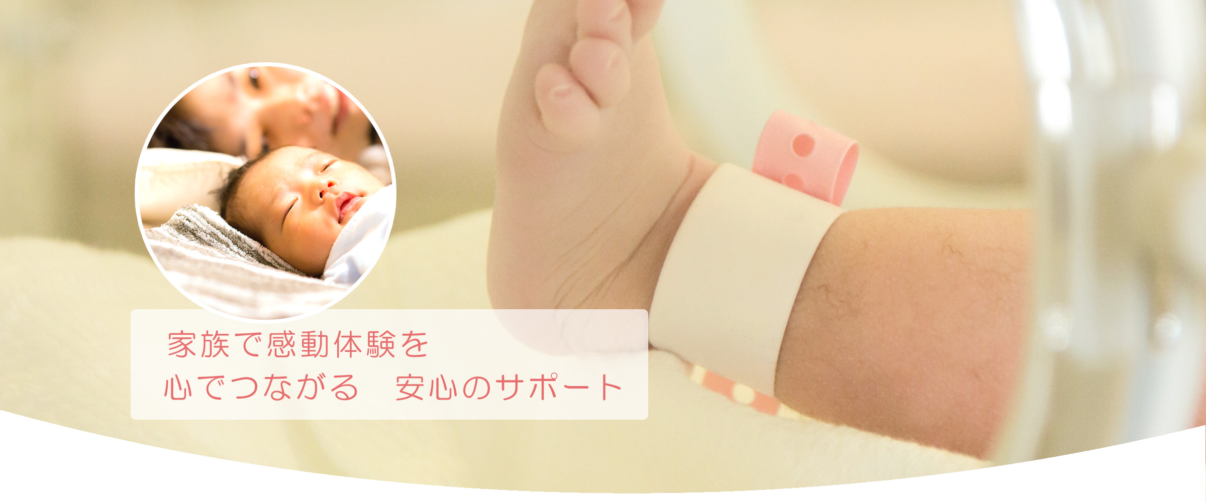 公式案内画像