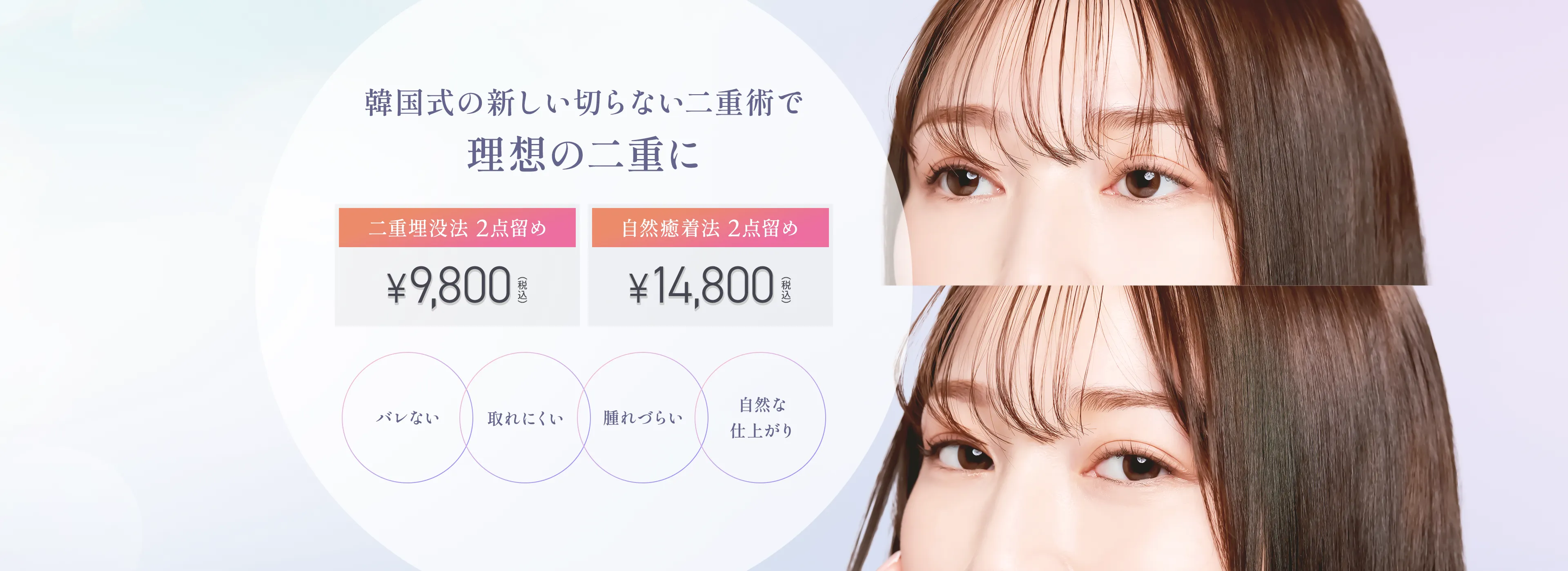 公式案内画像