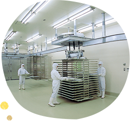 神州一味噌 甲府工場 の写真